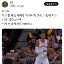 팍스랑 웸반야마랑 키차이가 34cm인데 팍스 키가 190cm야 이미지