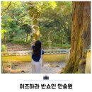 장군묘지 - 함양군 학사루2길 5-1 | 대마도 1박2일 자유여행 이즈하라 반쇼인 만송원 관람 후기