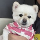 신안 북부 하나 어린이집 | #15 | 알차디 알찬 6월 일상