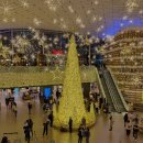 2024 찾아가는 영화관 - 베짱이 도서관 | 서울 크리스마스 가볼만한곳 코엑스 별마당도서관 대형 트리 후기