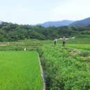 동강마을 이미지