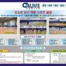 얼라이브스포츠매헌