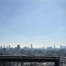 상하5호태양광발전소 | 도쿄 혼여_Day3-4 : 토시마구청ㅣ도쿄대 은행나무ㅣ카메노코 수세미ㅣ알몬트호텔 닛포리ㅣSac's Bar 포터