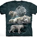 더마운틴 이미지