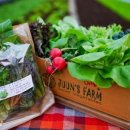 다원한우농장 이미지