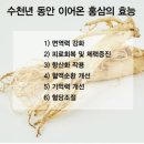 홍불 이미지