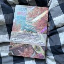 바다편의점 이미지