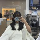 이수정미용실 네이버블로그