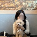 금홍식당