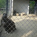 달성공원로 이미지