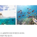 돌핀리조트 이미지