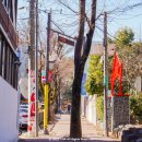 다모아 어린이공원 이미지