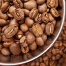 달콤피시 이미지