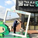 영광모시떡 이미지