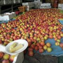 금화농장 이미지