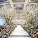 합명회사수성교통 | [결혼일기] W(2) 내 취향 웨딩홀 찾기! (호텔수성-아이비홀)🎀