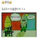 오늘 제주시 34도.'푄'? 이미지