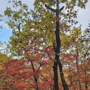 북한산 단풍 이미지