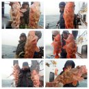 피쉬헌터 이미지