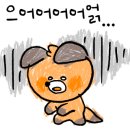 루피투애비