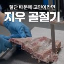 지우산업 | 냉동육 절단 때문에 고생하신다면 지우 골절기 추천드립니다! (250/330/350)