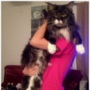 메인쿤 하우스 이미지