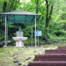 빙계군립공원(빙산사지오층석탑) 이미지