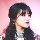 델리아 이미지