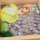 06.배방중 A | 아산맛집 배방읍 편편집에서 편백찜과 월남쌈 샤브 무한리필 먹어봄