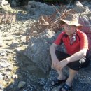 별빛하루 이미지