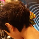 설지오