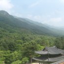 스테이732