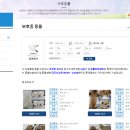 포인사이트 이미지