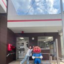 대마도 히타카츠 당일 여행 쓰시마링크호 탑승 후기