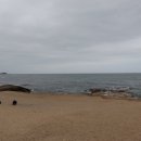 해변활어횟집