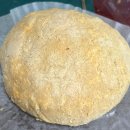 댕댕이 베이커리 | 뷰 베이커리 마산 맛집 김앤주 과자점 가포점 방문 후기