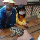 매화숲유치원 이미지