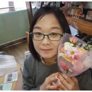 레젤플로우