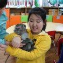 자연생태교육(원숭이, 유리앵무, 호랑가시) 이미지
