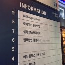 페이스짐 | 성남 클라이밍 짐 &lt;락페이스클라이밍&gt; 체험 후기