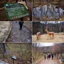 [영덕 가볼만한곳] 산림생태문화체험공원, 블루로드, 창수메밀영농조합법인