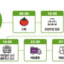 팜비즈랩 이미지