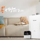 디자인온도 이미지