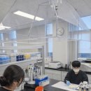 돼지와 건강 이미지