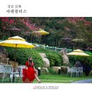 플러스 24 이미지