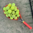 요넥스필스포츠용품서산점 | Tennis01. 테린이준비물/순천에서 테니스 배우기