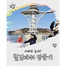 칠갑산로 | 아이와 함께한 청양 칠갑타워 후기｜스카이워크·미디어체험·로봇카페