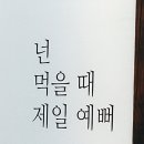 제일정 이미지