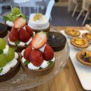 상남동244 이미지