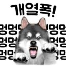 은밀하개위대하개 이미지